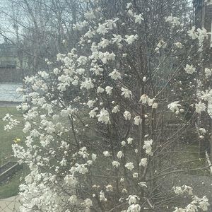 Meet your Posher, Rani